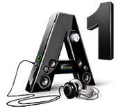 A1